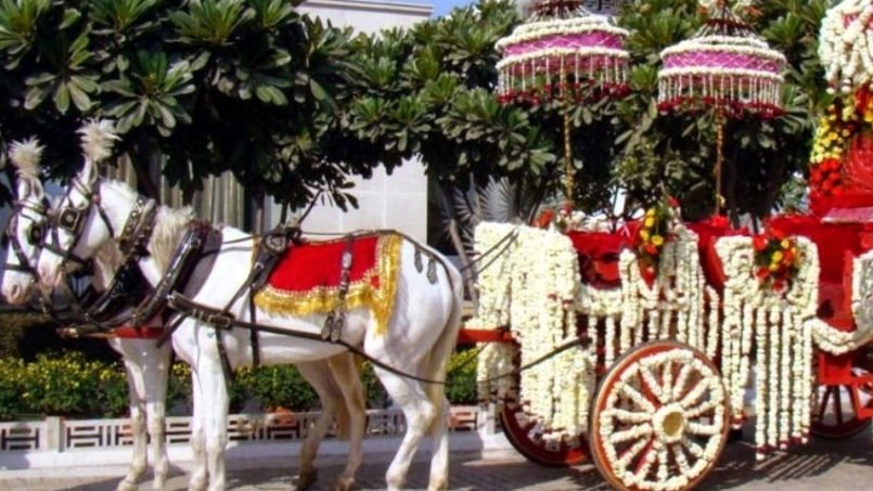 Ghodi For Wedding